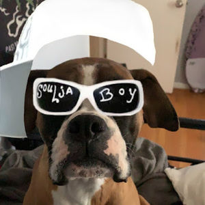 Meet your Posher, Hayden